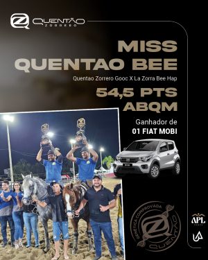 APL_Premiação 2025_DEZ253