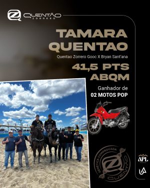 APL_Premiação 2025_DEZ257