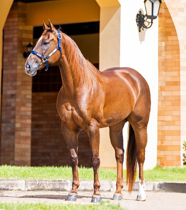 HENRYETA-LITTLER_3_1